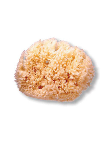 ESPONJA SUAVINEX NATURAL