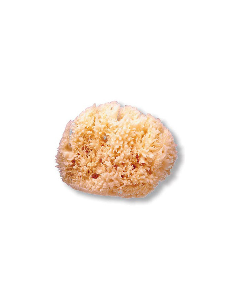 ESPONJA SUAVINEX NATURAL