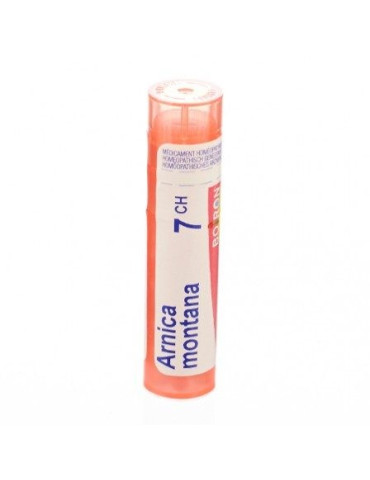 ARNICA MONTANA 7CH GR