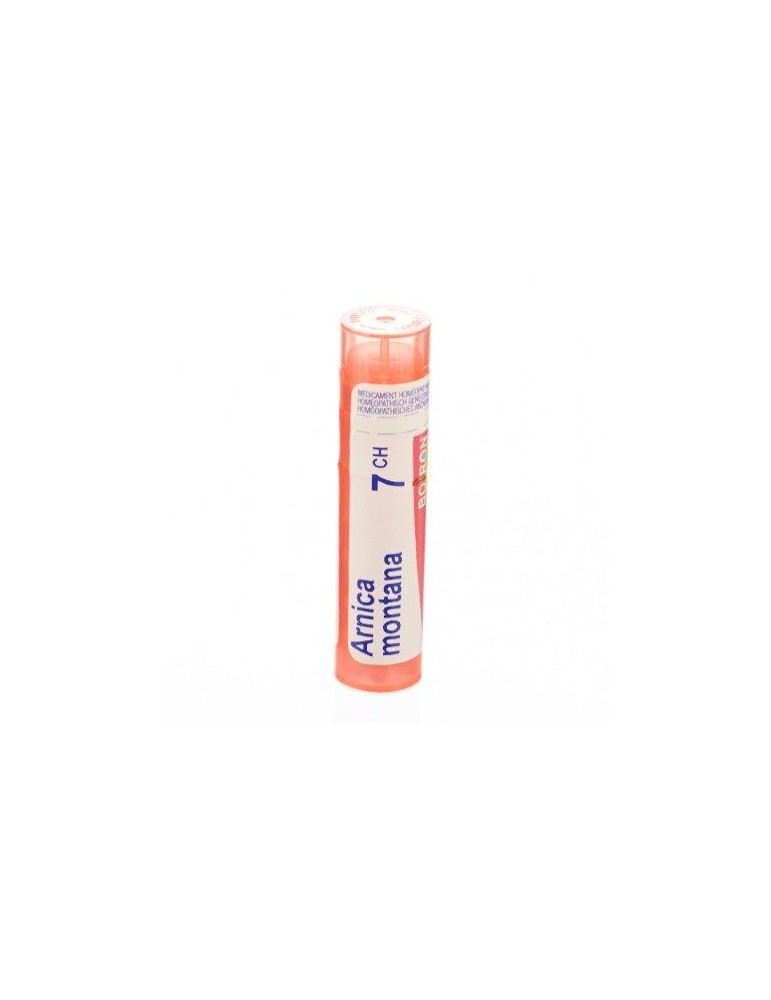 ARNICA MONTANA 7CH GR