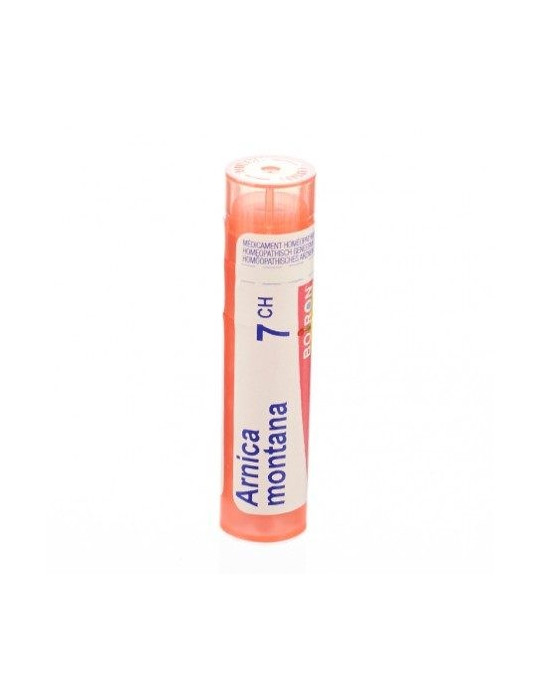 ARNICA MONTANA 7CH GR