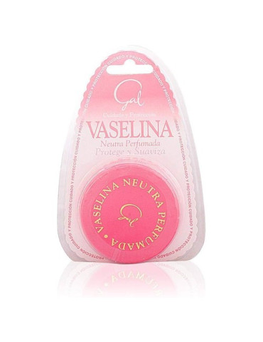 VASELINA GAL 935 ROSA GRANDE