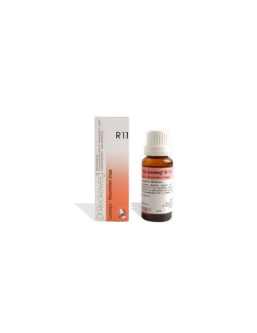 DR RECKEWEG R 11 GTS 50 ML