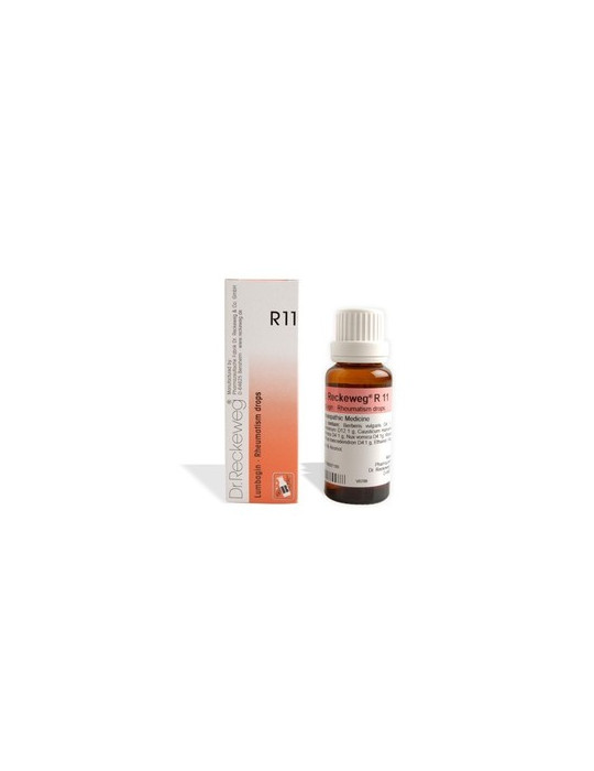 DR RECKEWEG R 11 GTS 50 ML