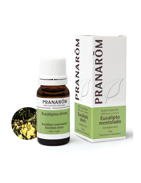 PRANAROM ACEITE ESENCIAL EUCALIPT MENTOL 10ML