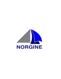NORGINE