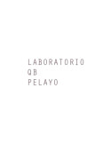 Q-B PELAYO